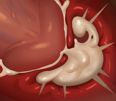 bitcoda nice model img