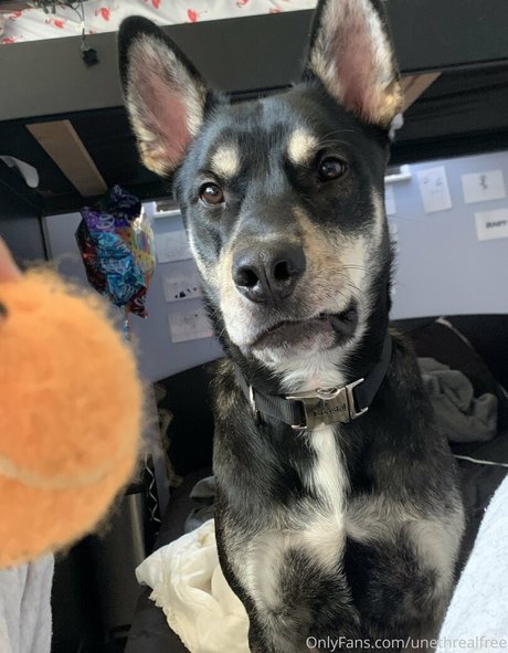 unethrealfree xxx pornstar image