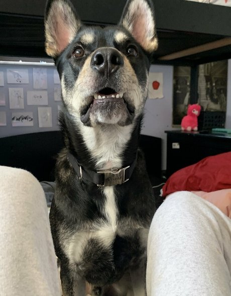 unethrealfree model porn photo