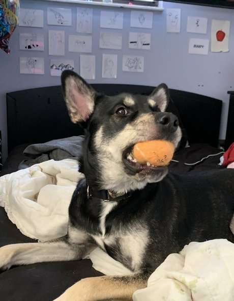 unethrealfree pornstar beautiful photos