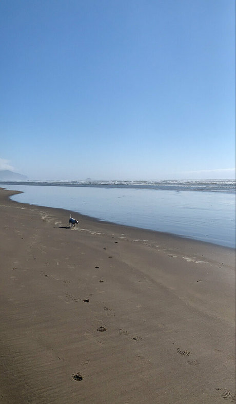 auroraarose xo pretty actress pictures