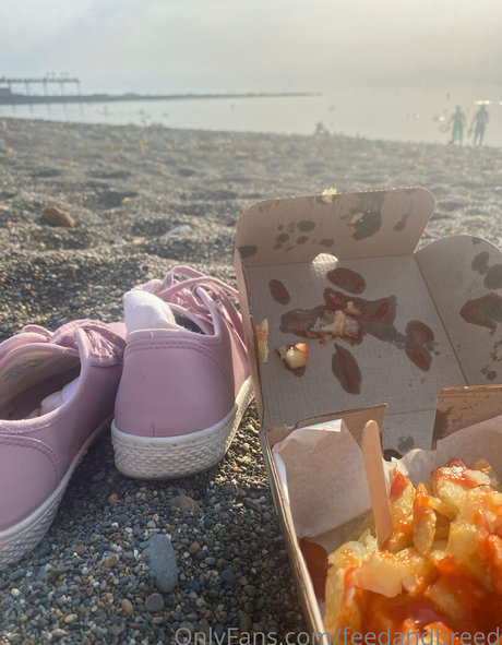 feedandbreed art star gallery