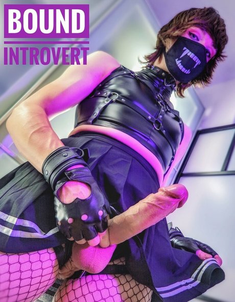 BoundIntrovert art model images