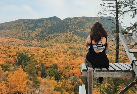 lartdanstoutessesformes star hot images