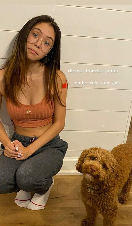 Tiptoetingles model archive