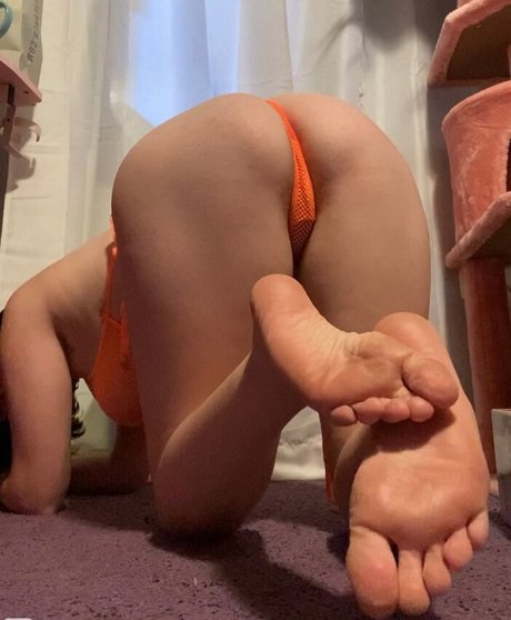 Liaslewds star free photos