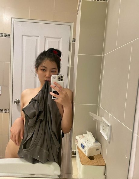 narmhann model top img