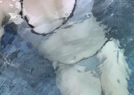 Eliza eves Profile pic