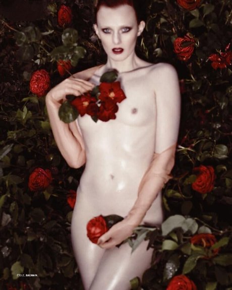Karen Elson actress image