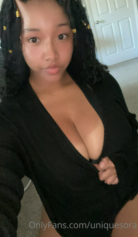 Unique Sora model best archive