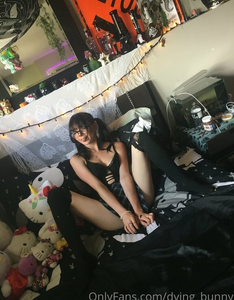 Dying bunny porn star picture