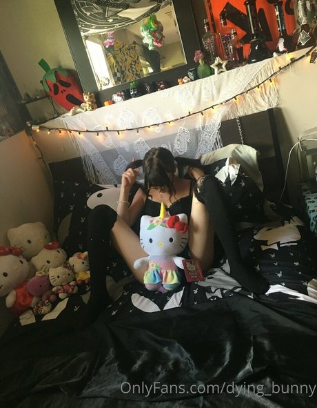 Dying bunny art model img