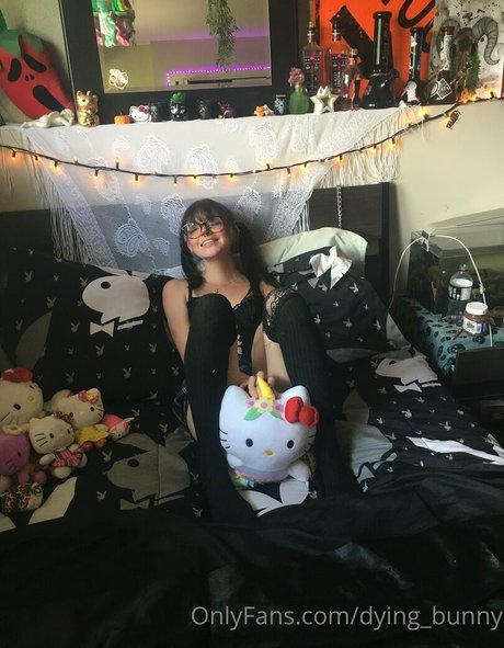 Dying bunny pretty pornstar galleries