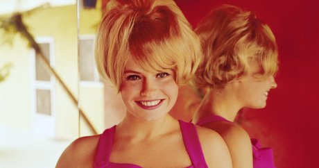 Joey Gibson best pornstar images