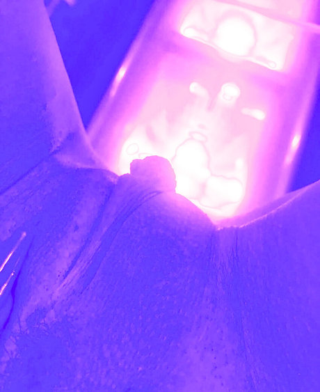 bronwynnrosee pornstar free image