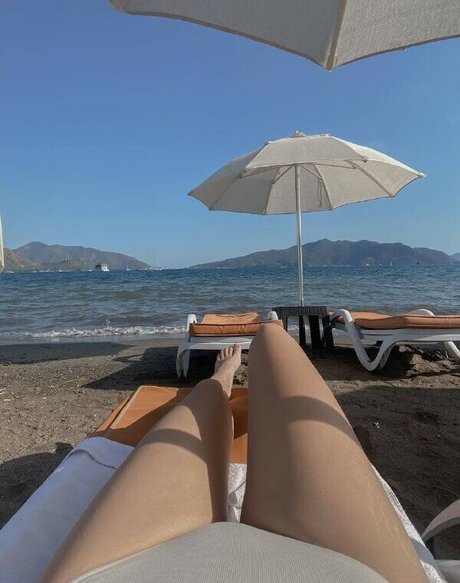 palmoliff adult actress galleries