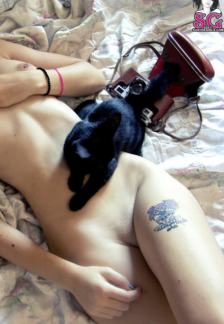 Plum sg top star images