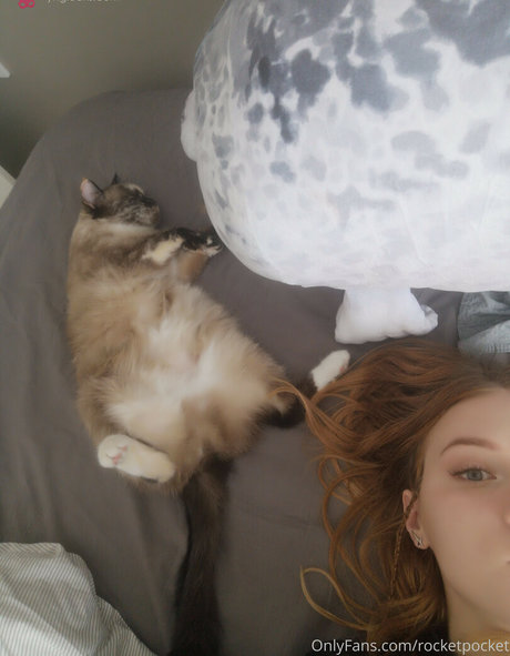 rocketpocket exclusive star image