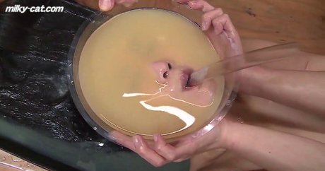 milky cat free star pic