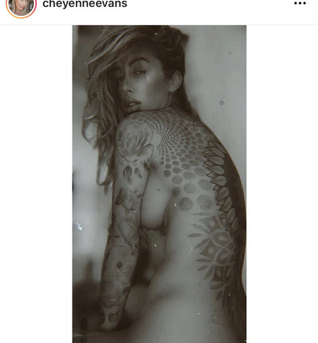 Cheyenne Evans erotic model archive