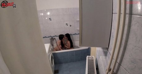 dollscultvideo star img