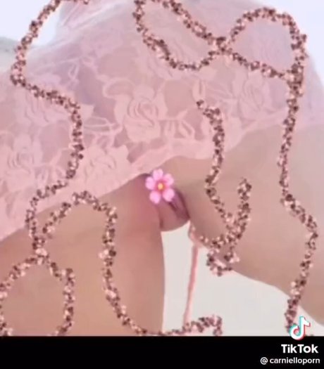 Carniello pornographic actress img