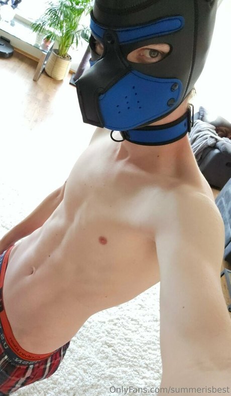 summerisbest art star galleries