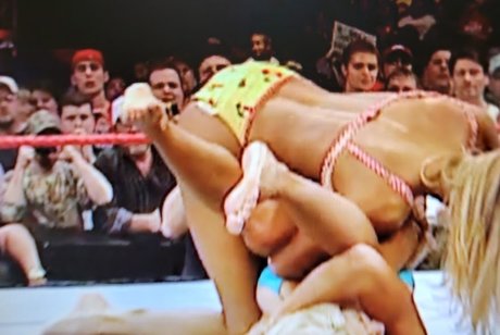 Torrie Wilson top pornstar image