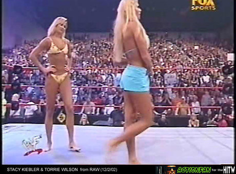 Torrie Wilson high quality model photo