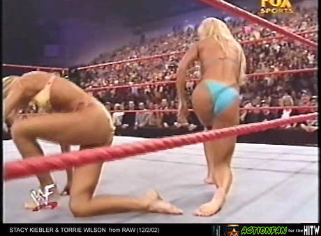 Torrie Wilson star adult picture