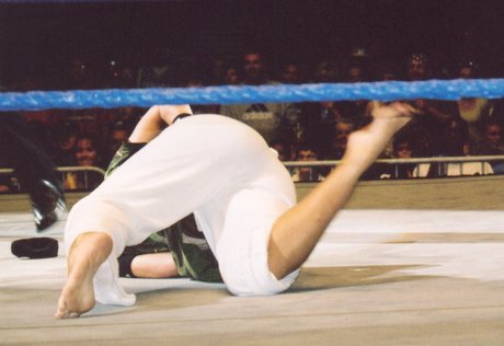 Torrie Wilson sexy actress image