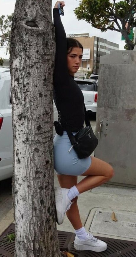 Charli D Amelio pornographic actress pictures