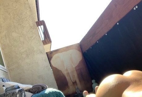 blairwilliams xxx star picture