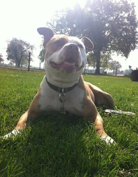 siswetlive high quality actress img