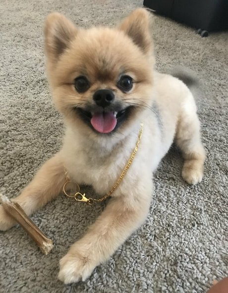 siswetlive nice star pictures