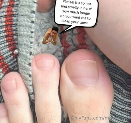 macrocole perfect model archive