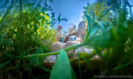 macrocole star naked img