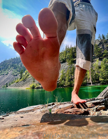 macrocole model hot image