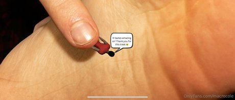 macrocole model picture