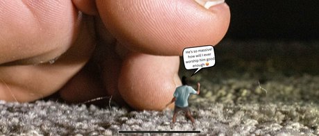 macrocole star hd picture