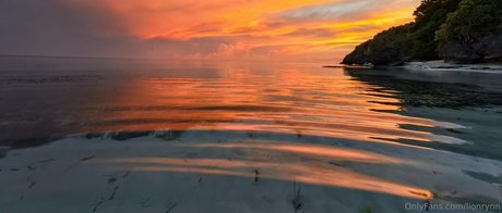 Lionrynn star top galleries