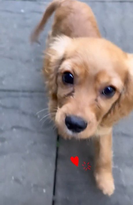 Una Healy model beautiful picture