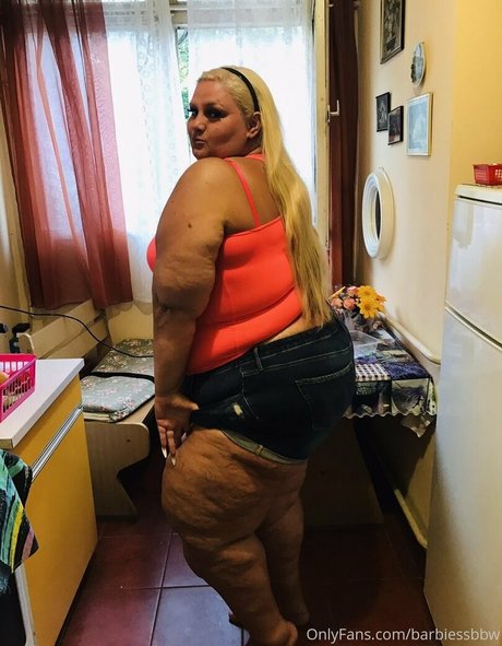 barbiessbbw art star images