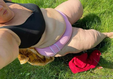 barbiessbbw porn actress picture