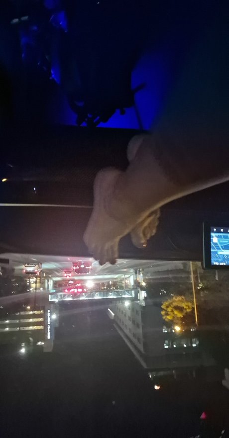 Grimoire free model archive