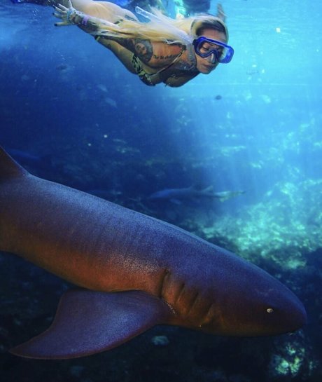 ashlynxdiamond star top images