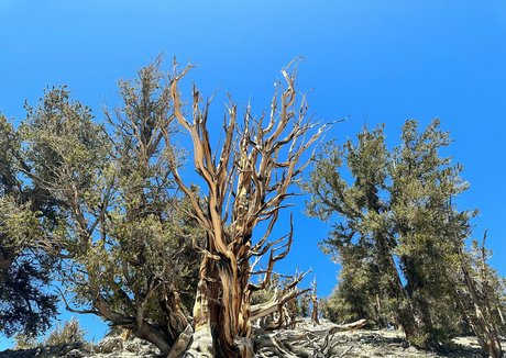 havefaithinmebabe pornstar perfect photos