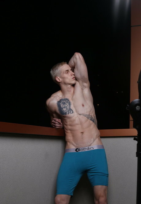 phdpepper star adult images