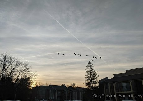 dream candy star naked galleries