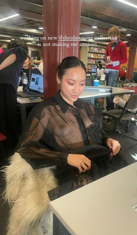 Dieu Linh Vuong beautiful actress photo